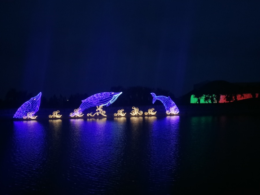 海豚光雕彩燈水面倒影效果