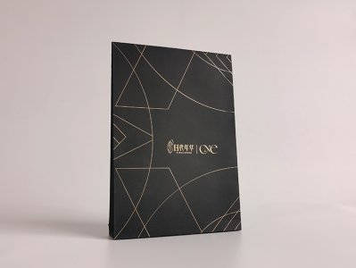 時(shí)代年華檔案袋